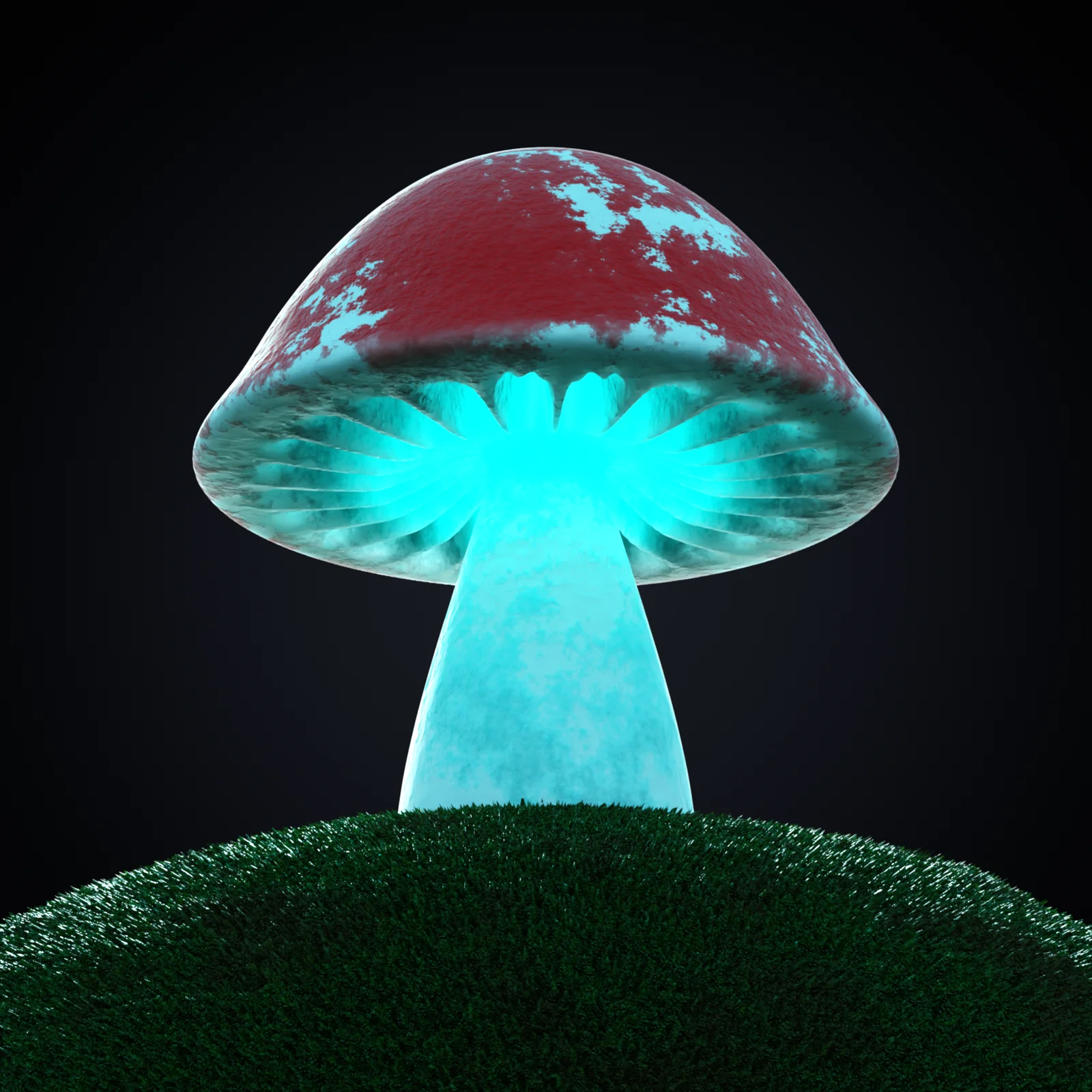 Mushroom Material screenshot 3