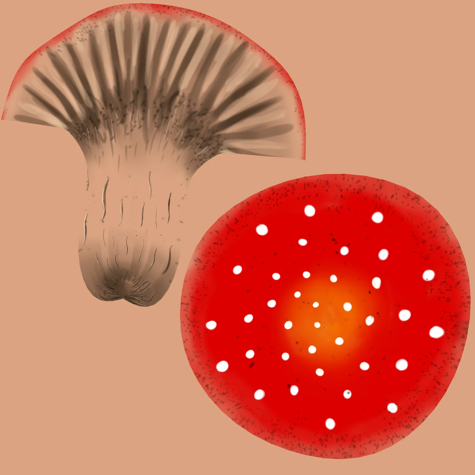 Mushroom Texture Painting screenshot 4