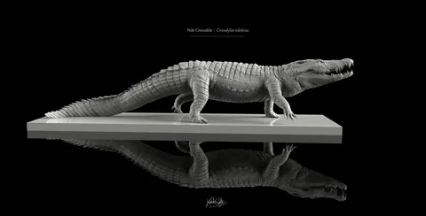 Nile Crocodile - Blender 3d models