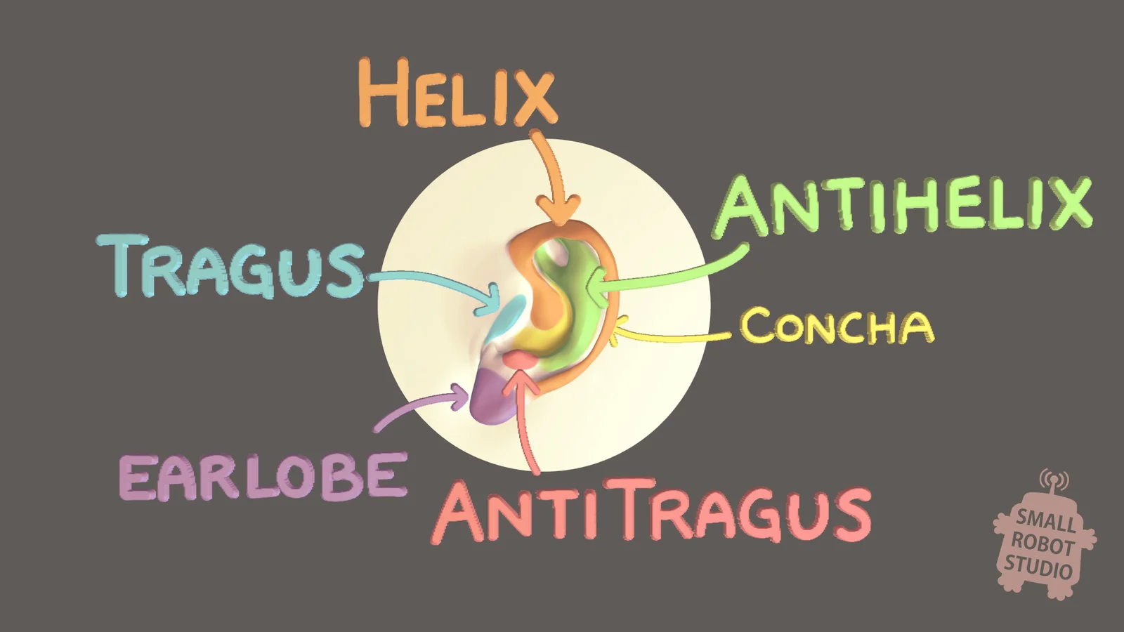 Ear Sculpting Reference Pack screenshot 4