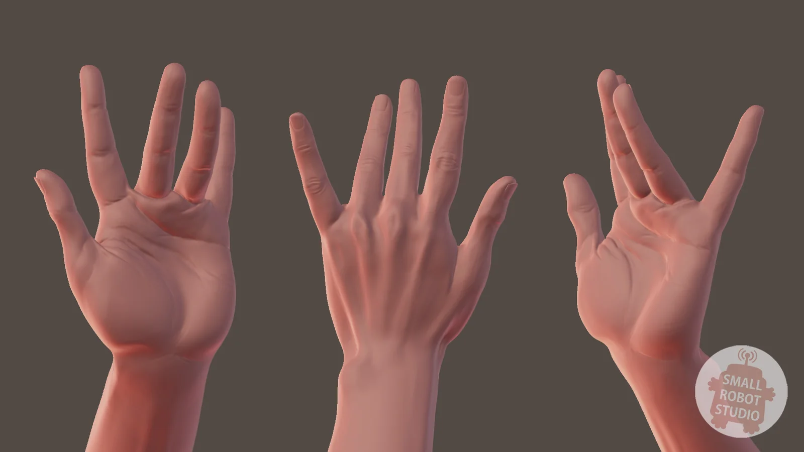 Hand Sculpting Reference Pack screenshot 3