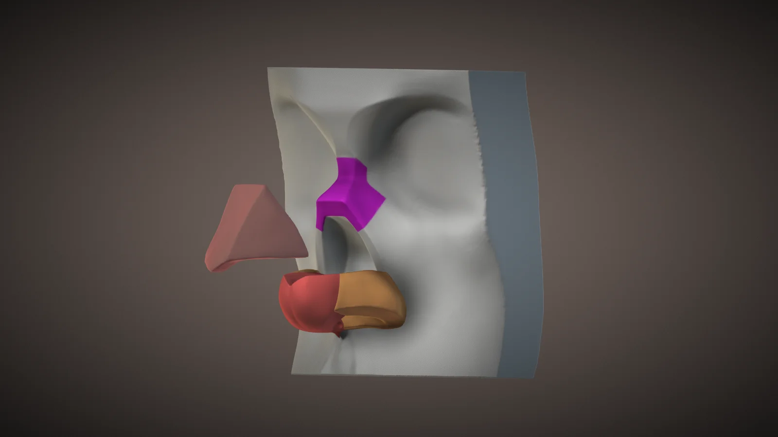 Nose Sculpting Reference Pack screenshot 4