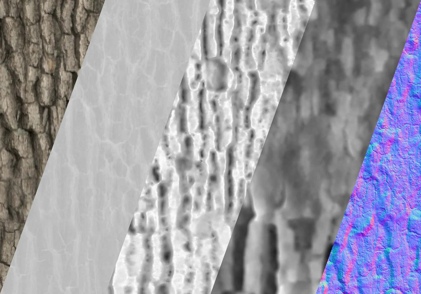 Oak Tree 001 screenshot 3