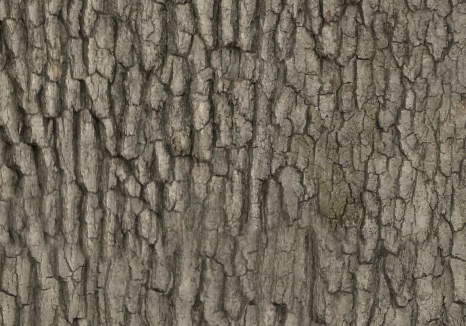 Oak Tree 001 screenshot 7
