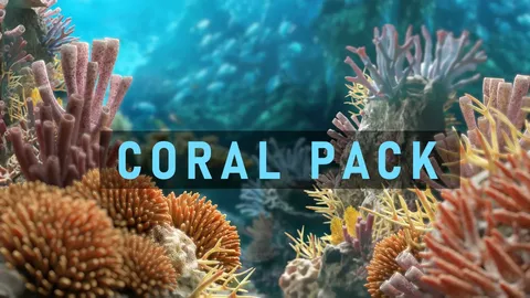 Ocean Coral Pack - Blender 3d models