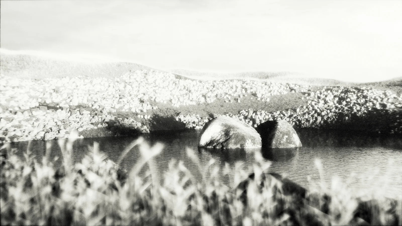 AgX and ACEScg OCIO Config screenshot 3