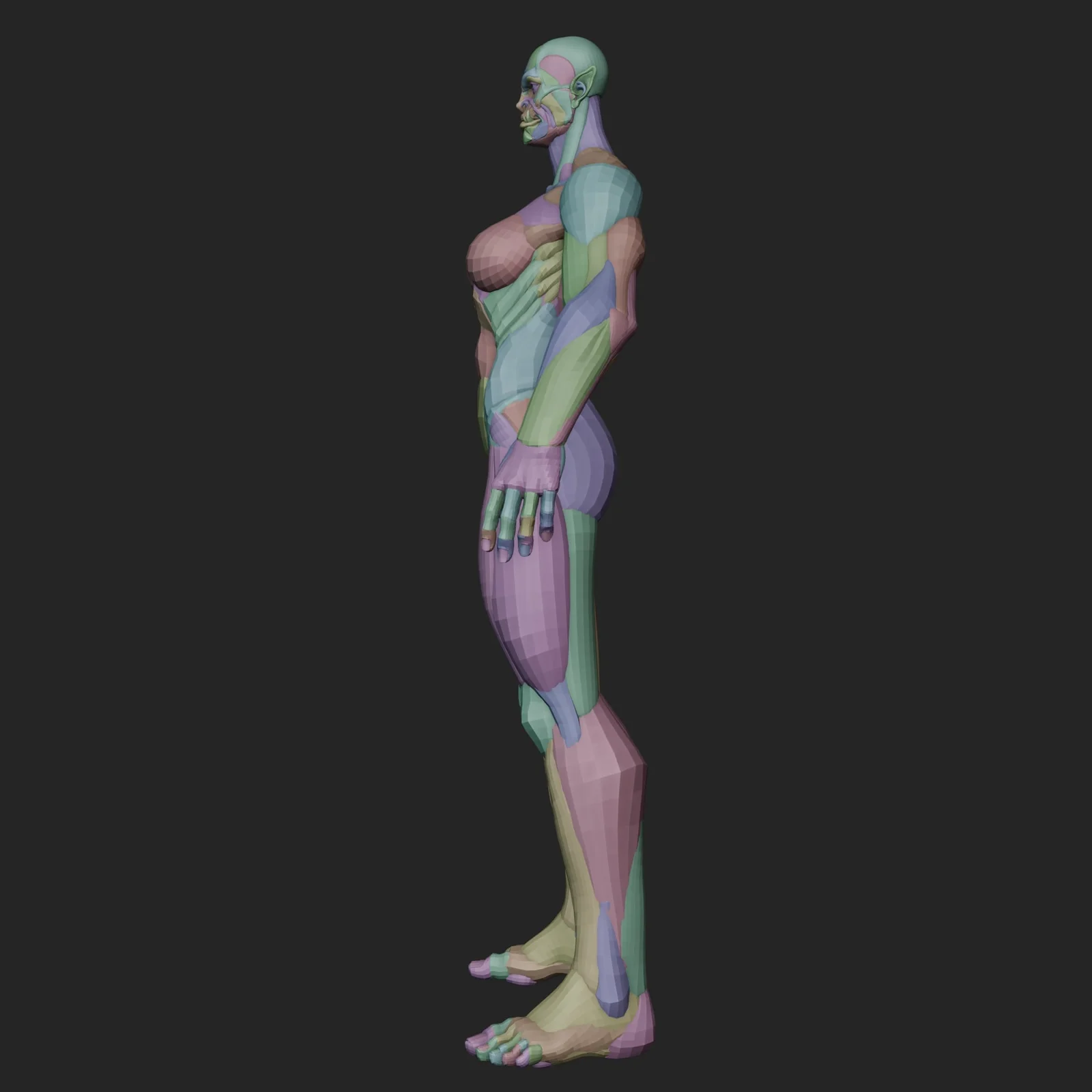 Orc Female Anatomy Blockout screenshot 4