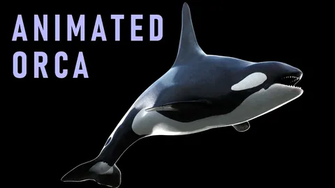 Orca - Blender 3d models