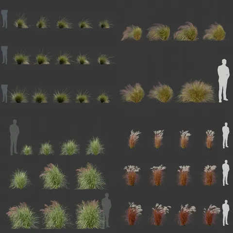 Ornamental Grass Pack - Blender 3d models