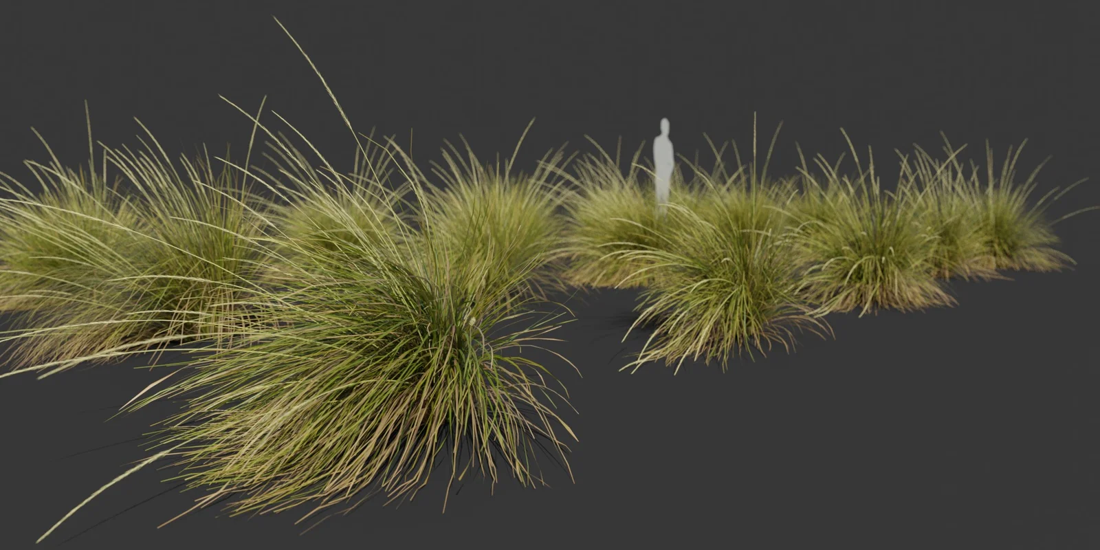 Ornamental Grass Pack screenshot 2