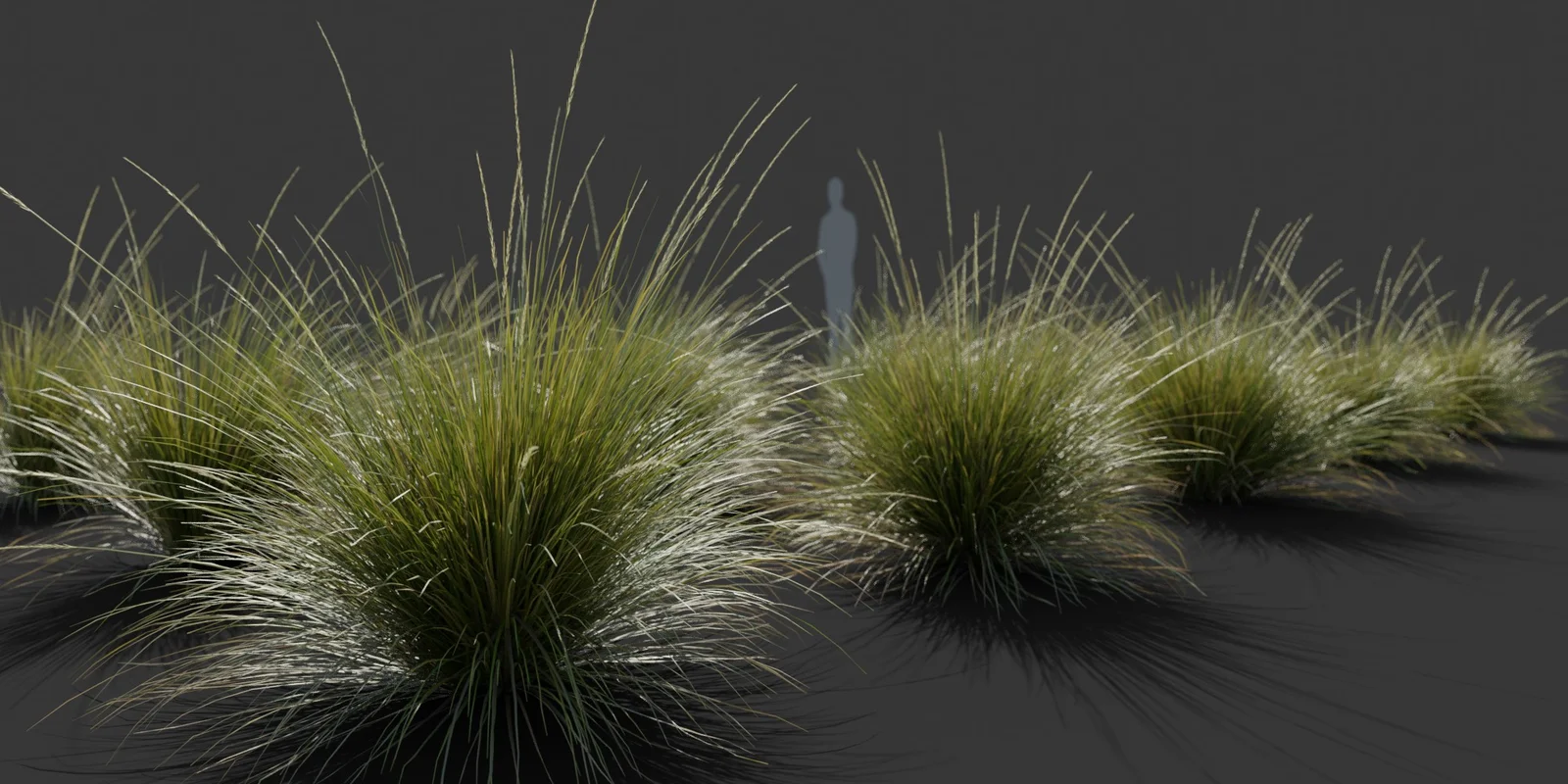 Ornamental Grass Pack screenshot 3