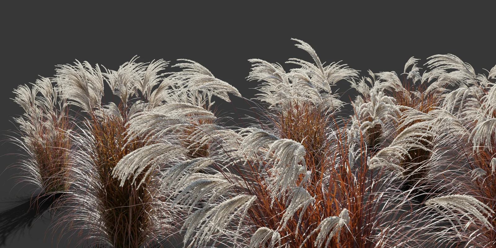 Ornamental Grass Pack screenshot 4