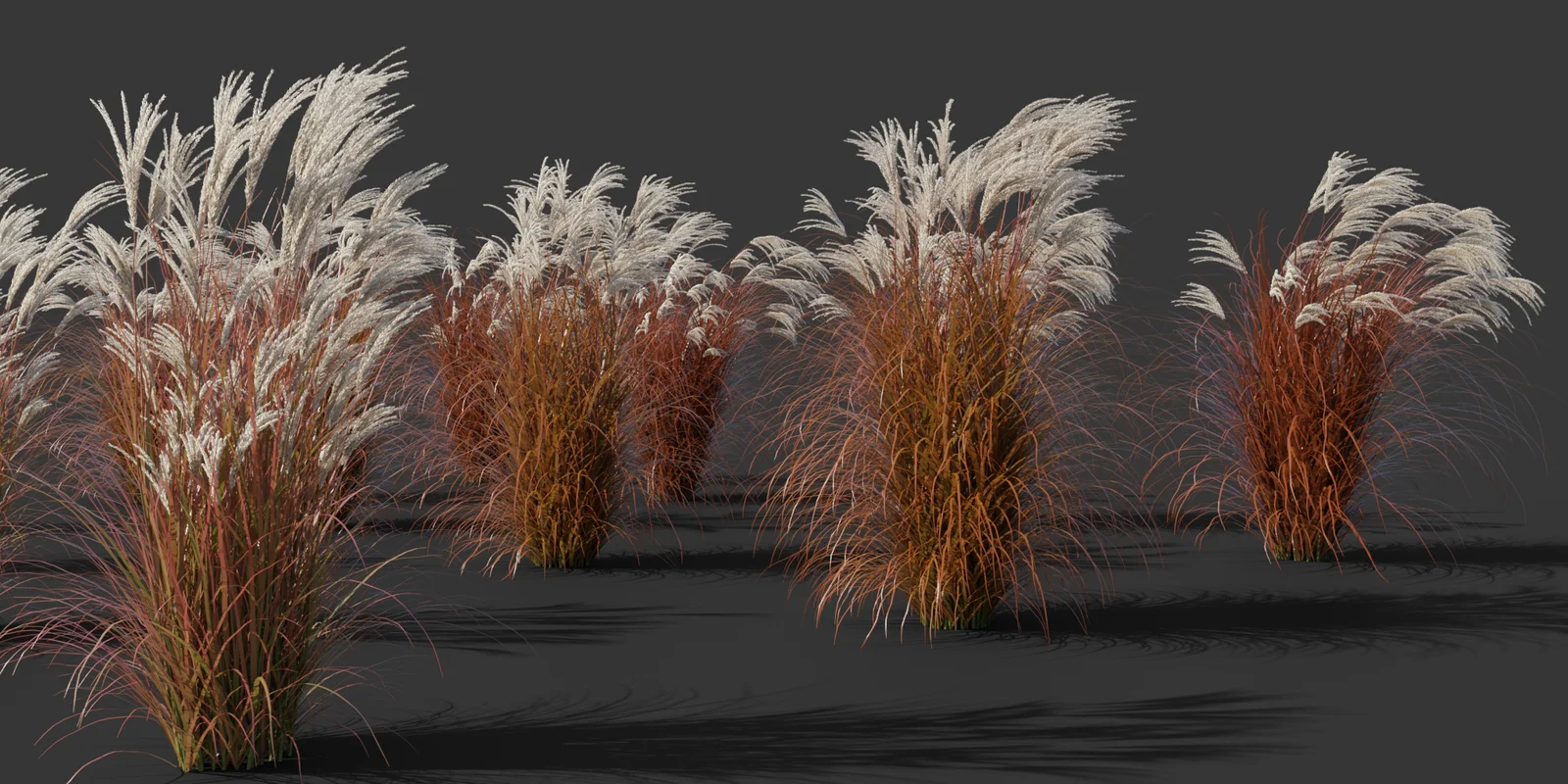 Ornamental Grass Pack screenshot 5