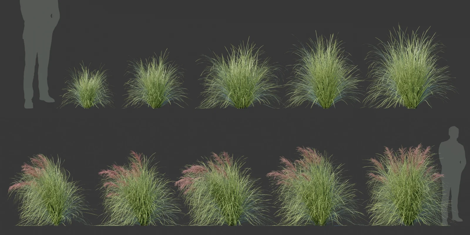 Ornamental Grass Pack screenshot 6