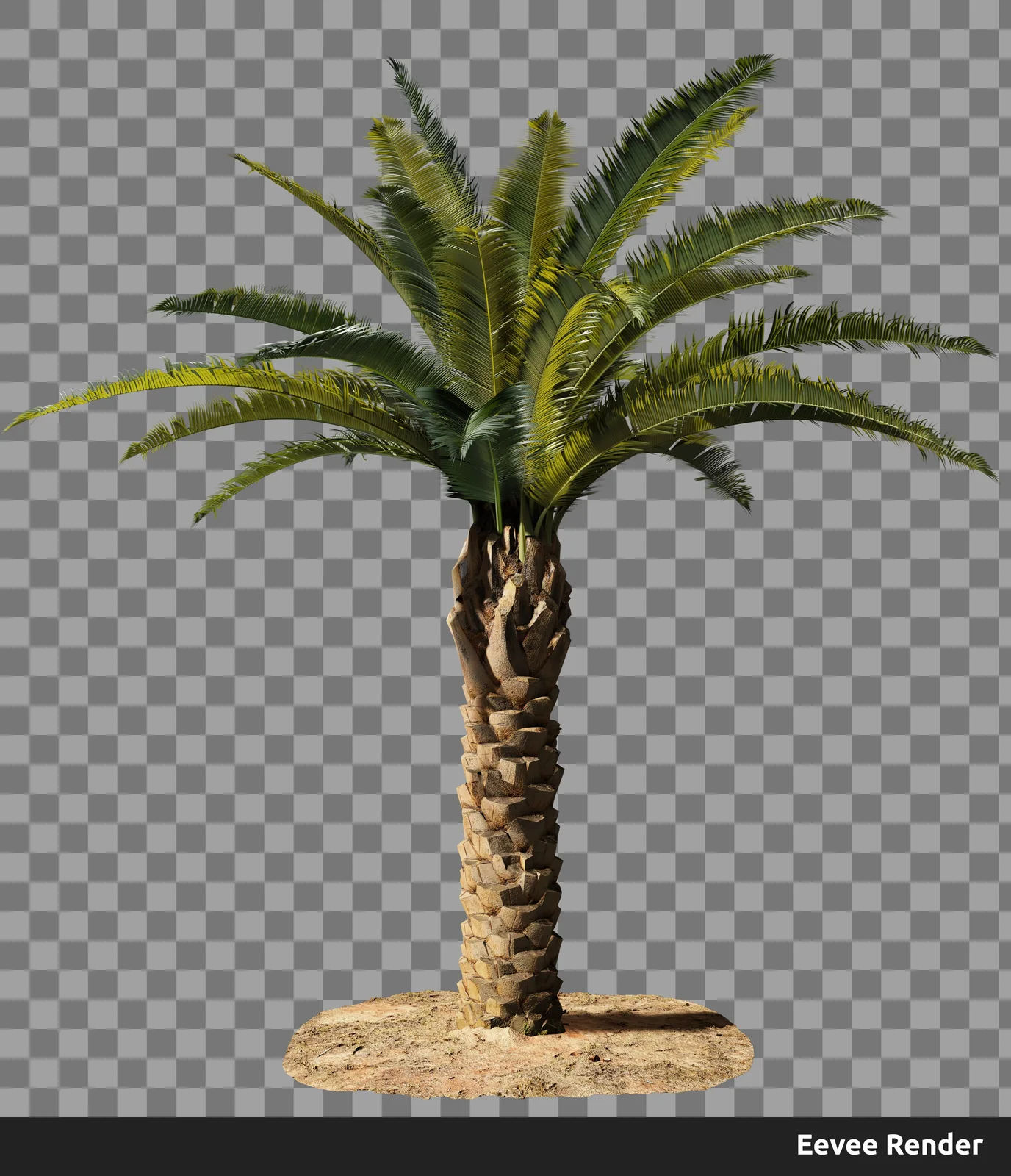 Palm Tree screenshot 8