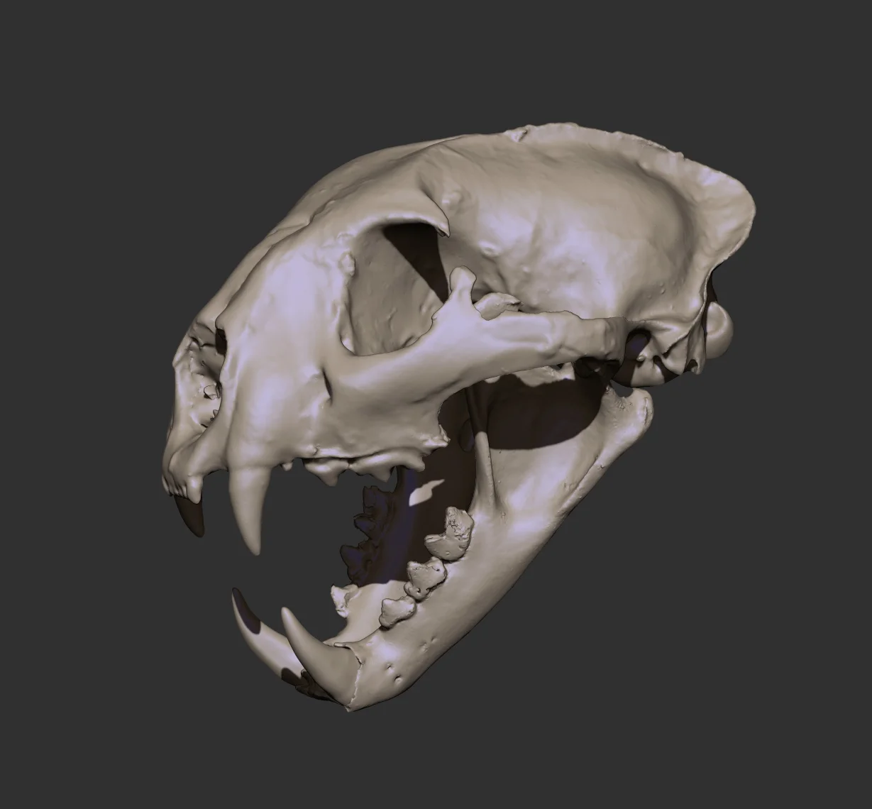 Panther Skull screenshot 4