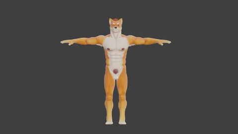 Petguys Shiba - Blender 3d models