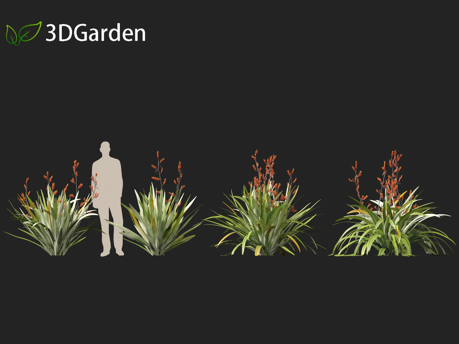 Phormium Tenax screenshot 6