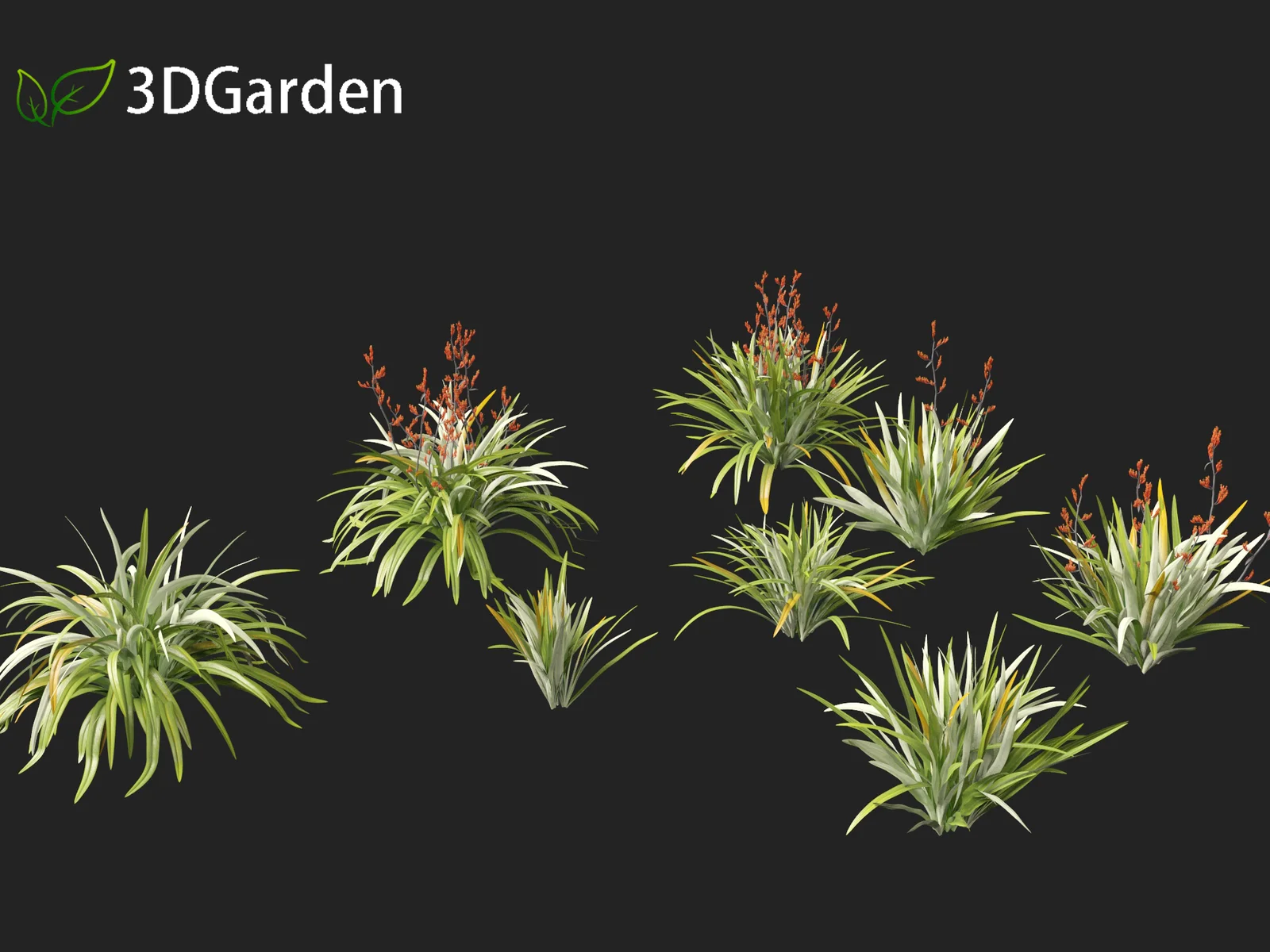 Phormium Tenax screenshot 7