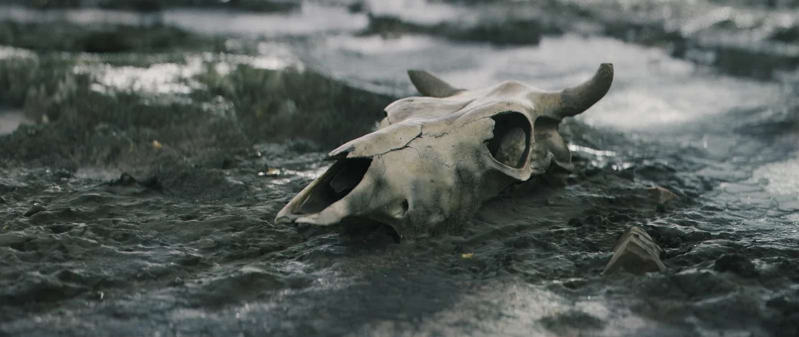 Photogrammetry Course screenshot 4