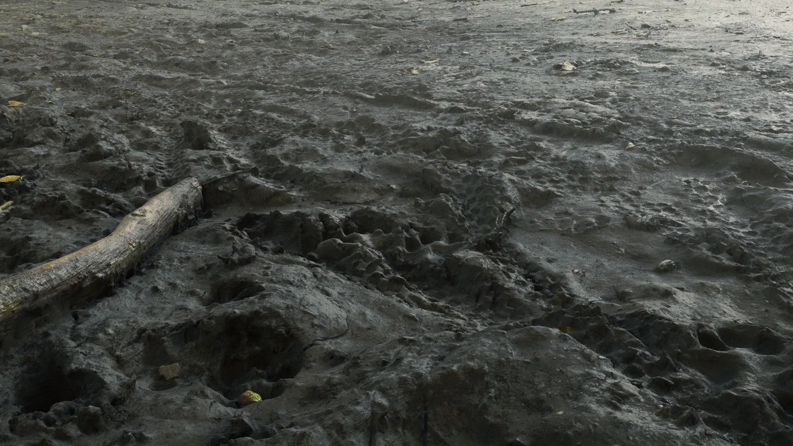 Photogrammetry Course screenshot 7