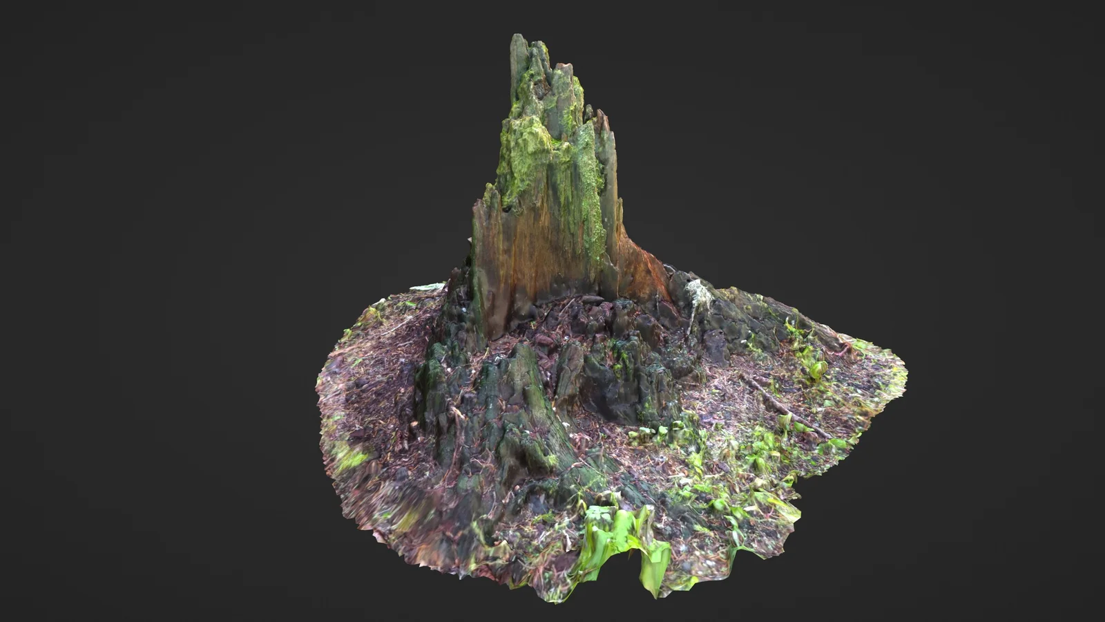 Photoscanned Nature screenshot 2