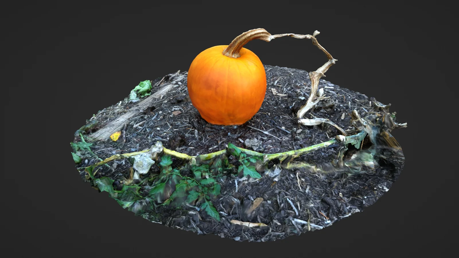 Photoscanned Nature screenshot 3