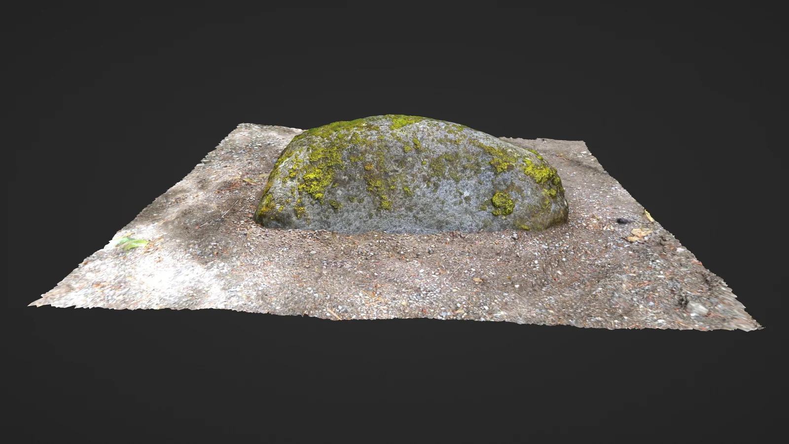 Photoscanned Nature screenshot 5