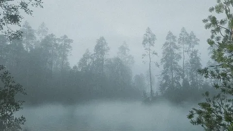 Physical Fog - Blender addons