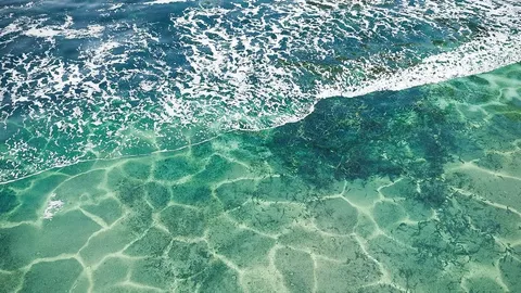 Physical Water FX Deluxe - Blender addons