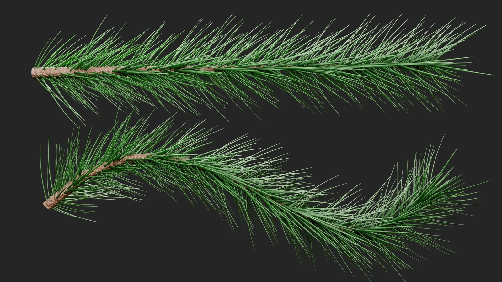 Pine Tree Branch screenshot 2
