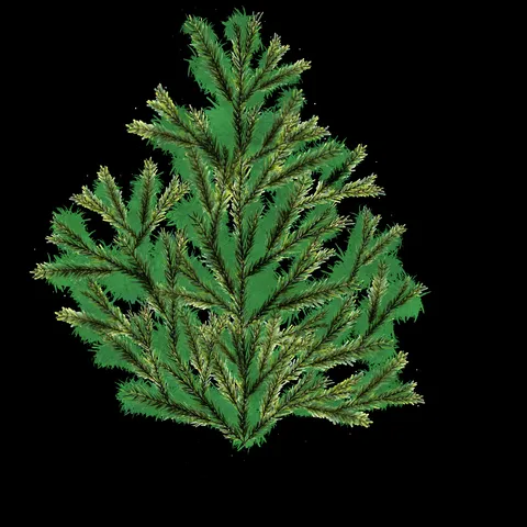 Pine Tree Leaf - Blender textures & materials