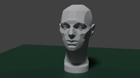 Planes Of The Head Older Face - Blender 3d models