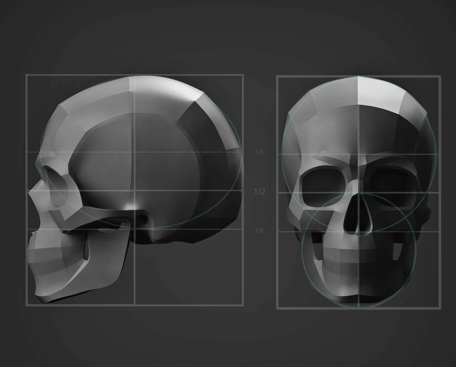 Planes of the Human Skull screenshot 2