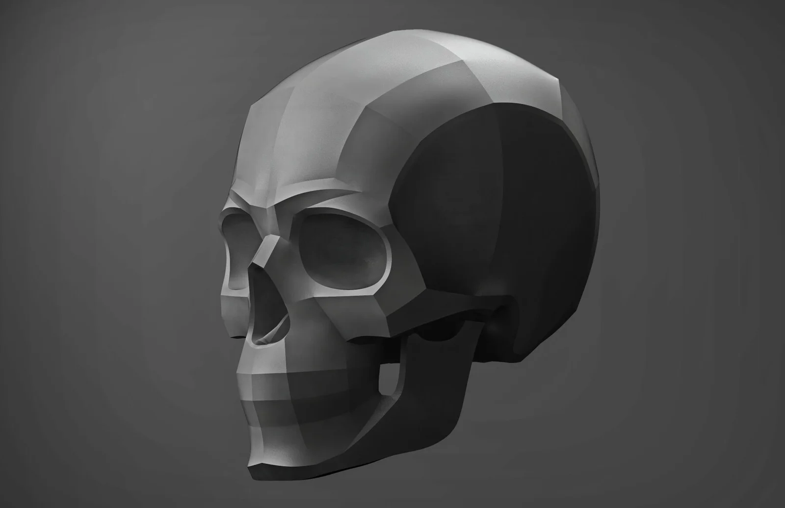 Planes of the Human Skull screenshot 5