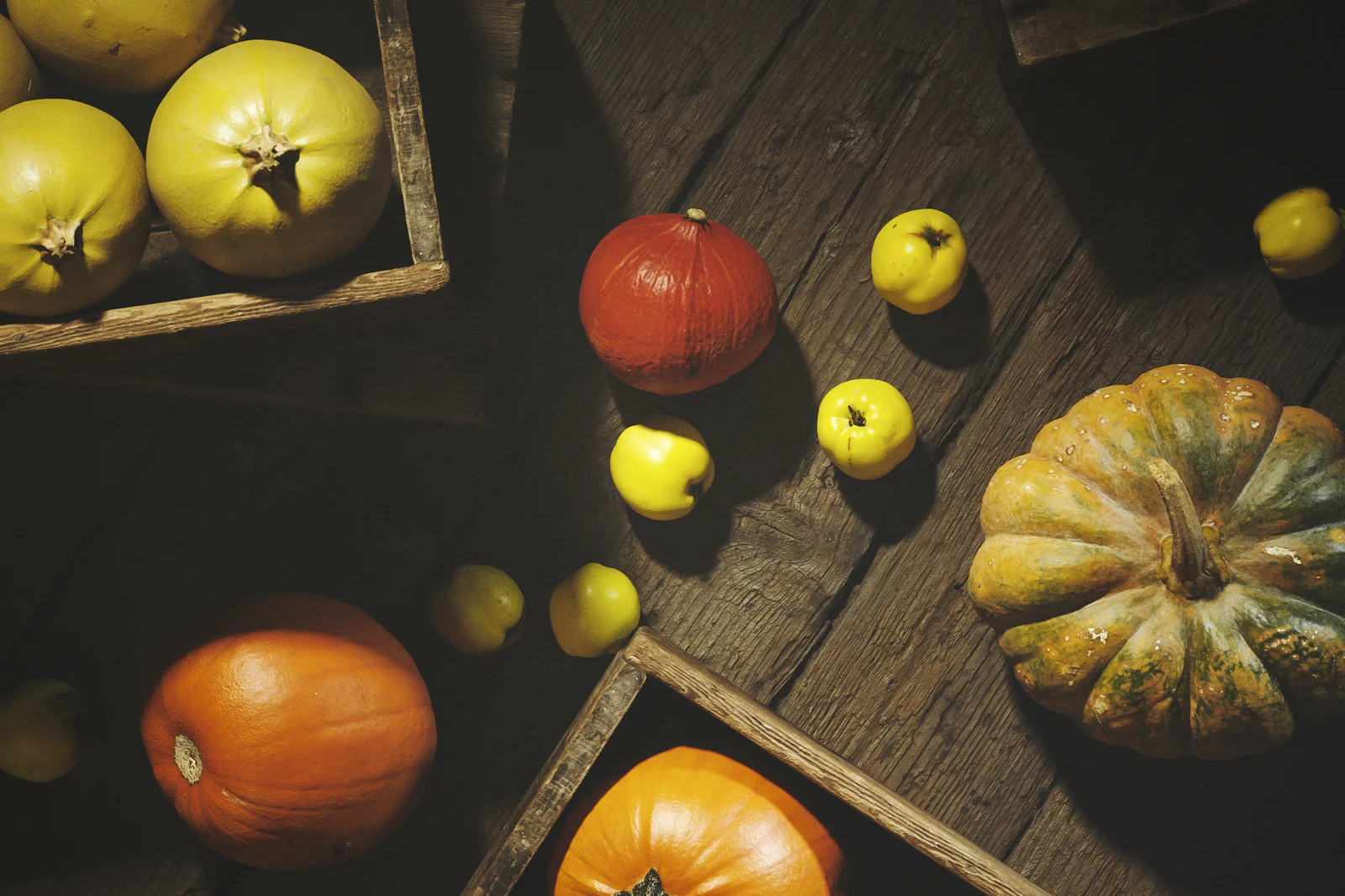 Autumn Set 01 screenshot 2