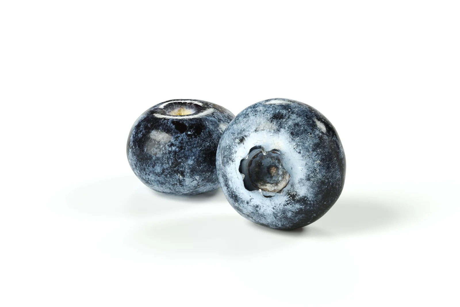 Blueberry 01 screenshot 2