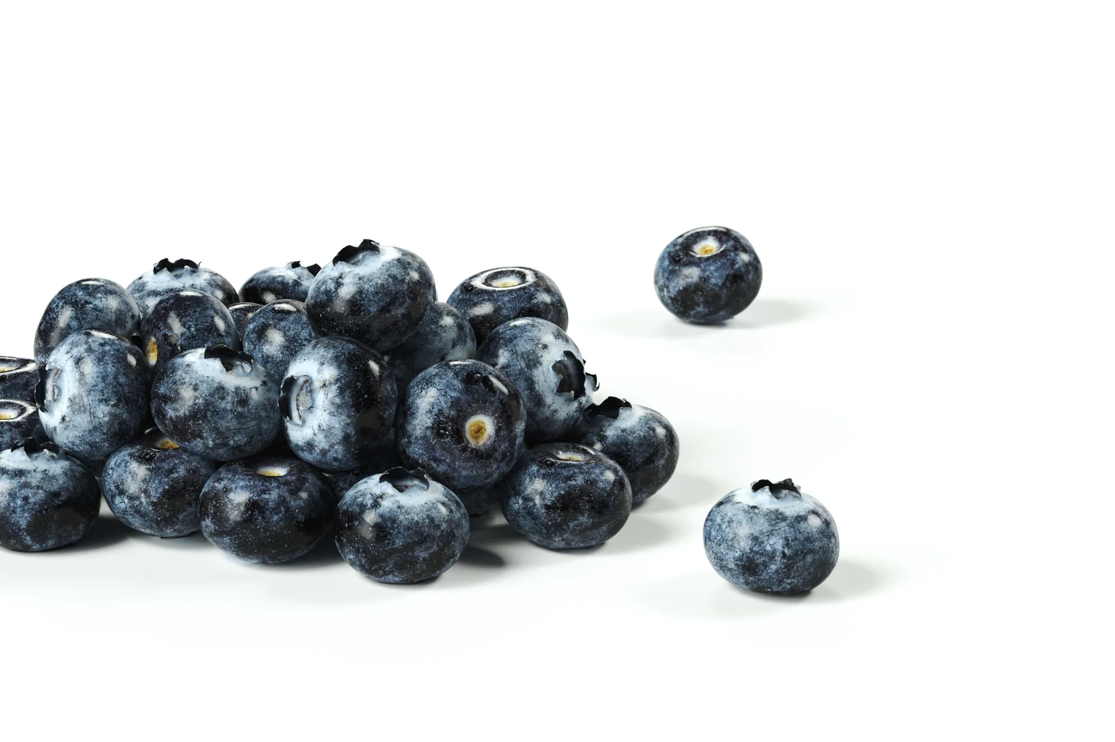 Blueberry 01 screenshot 7