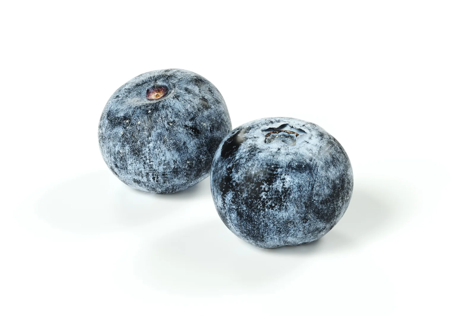 Blueberry 02 screenshot 2