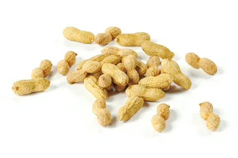 Peanut 01 And 02 - Blender 3d models