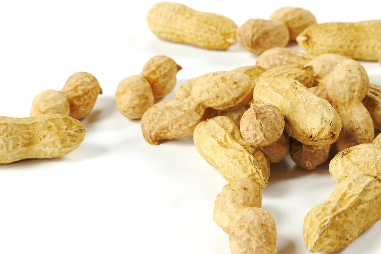 Peanut 01 And 02 screenshot 2