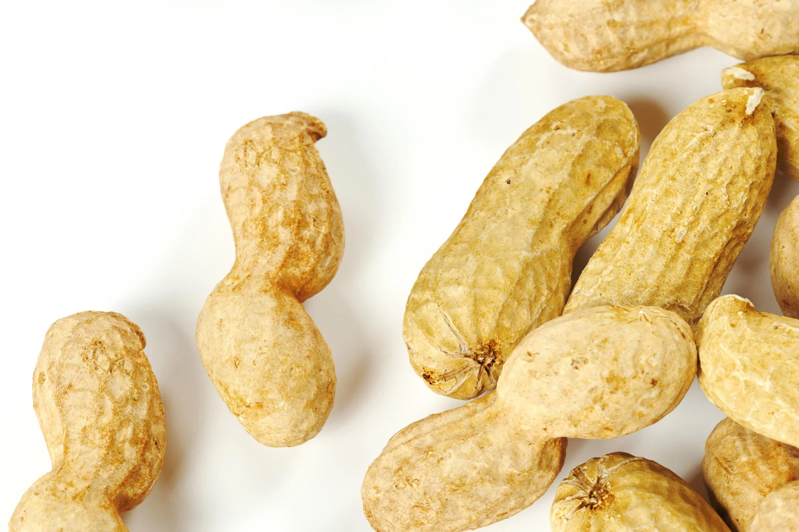 Peanut 01 And 02 screenshot 3