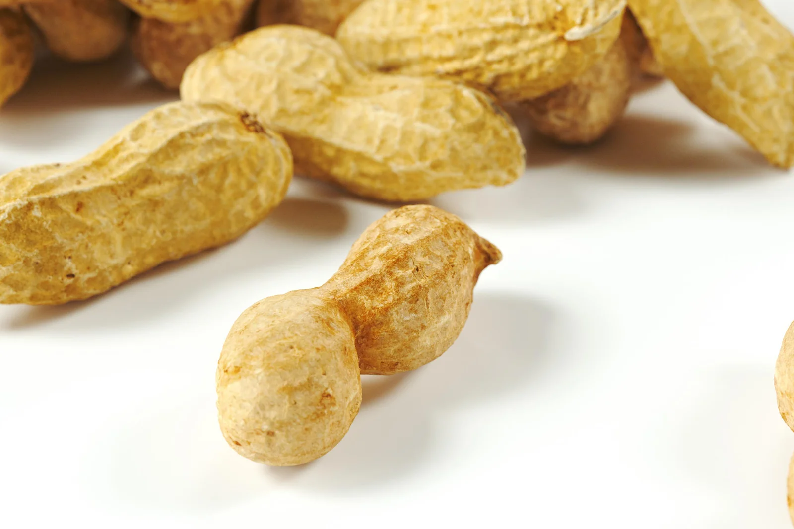 Peanut 01 And 02 screenshot 4