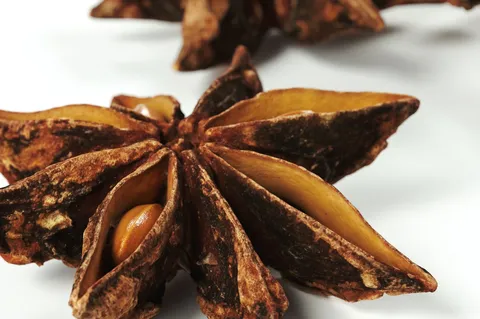 Star Anise - Blender 3d models