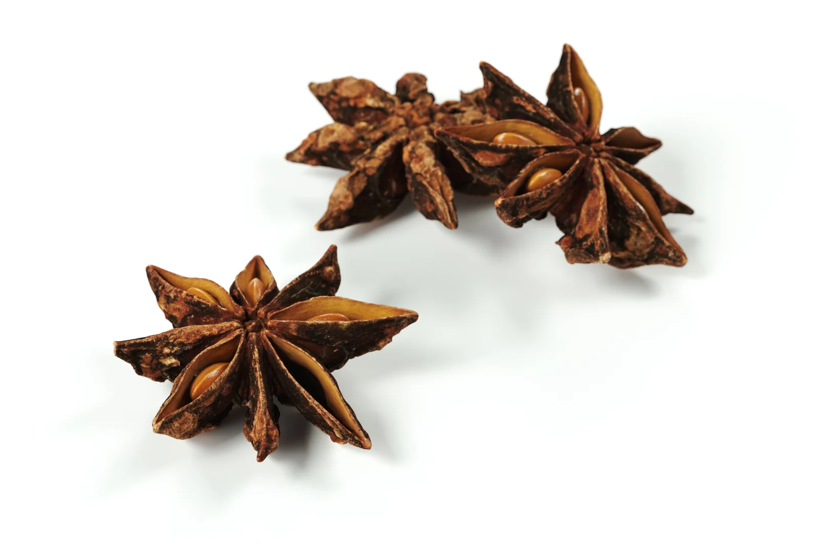 Star Anise screenshot 3
