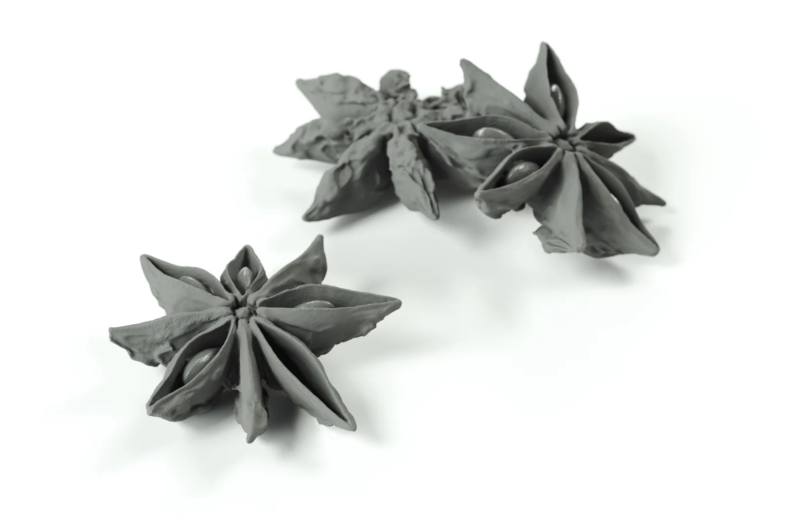 Star Anise screenshot 4