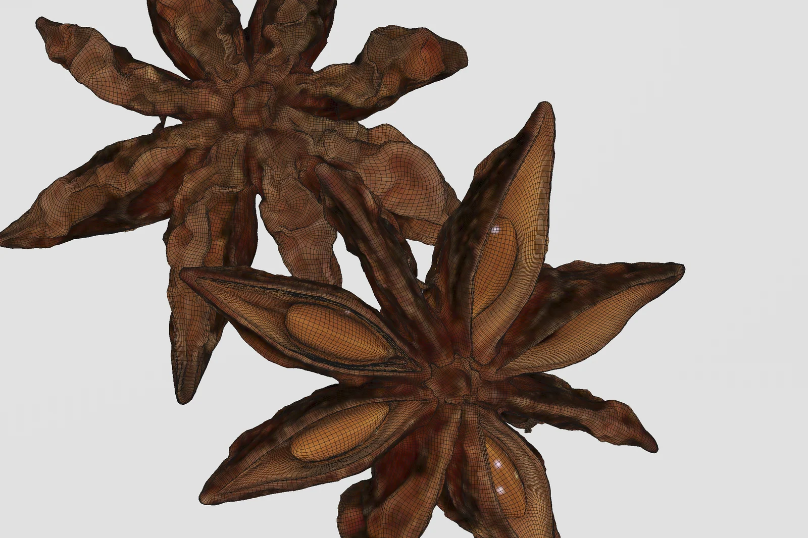 Star Anise screenshot 5