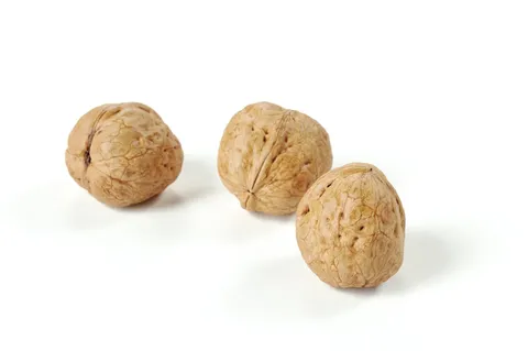 Walnut 02 - Blender 3d models