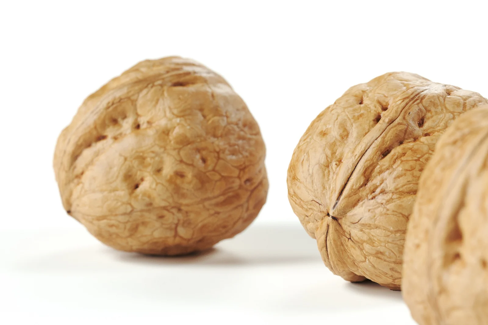 Walnut 02 screenshot 2