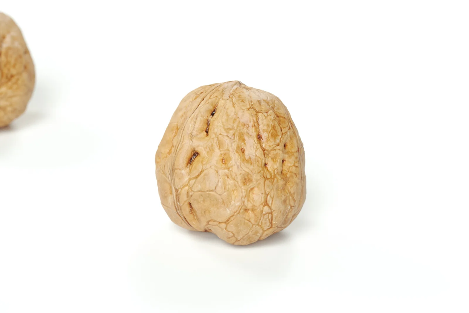 Walnut 02 screenshot 5